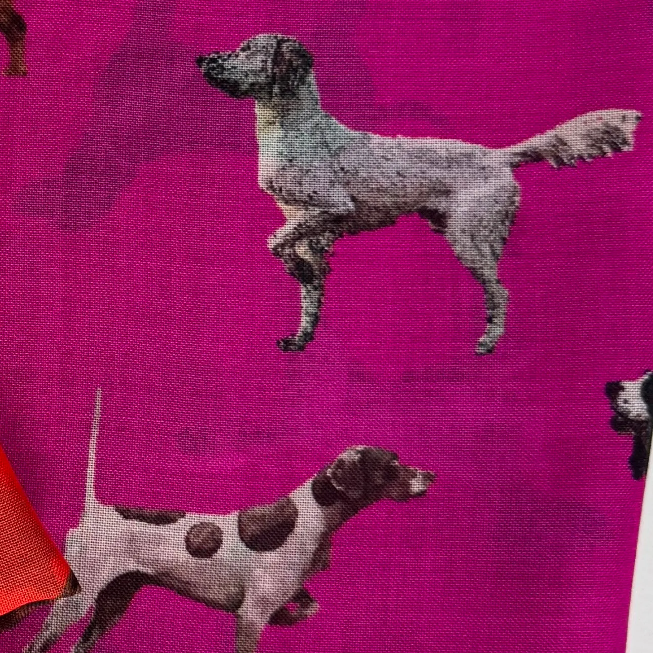 Kevin’s Hunting Dogs Scarf