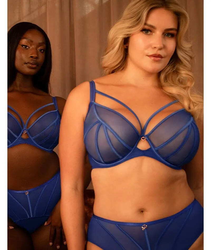Scantilly Senses Plunge Bra - Ultraviolet
