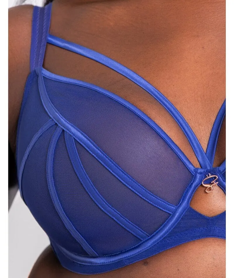 Scantilly Senses Plunge Bra - Ultraviolet