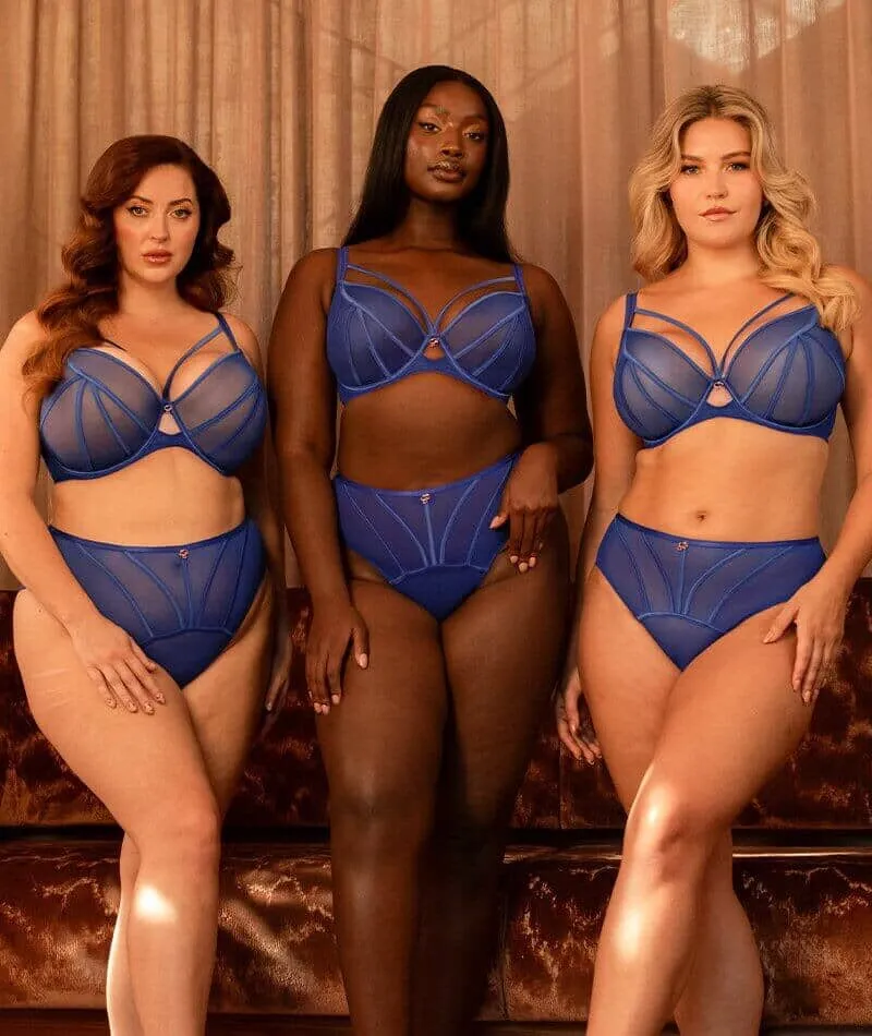 Scantilly Senses Plunge Bra - Ultraviolet
